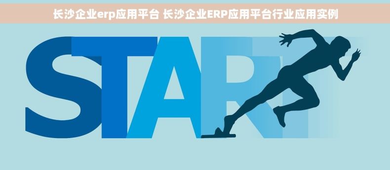 长沙企业erp应用平台 长沙企业ERP应用平台行业应用实例