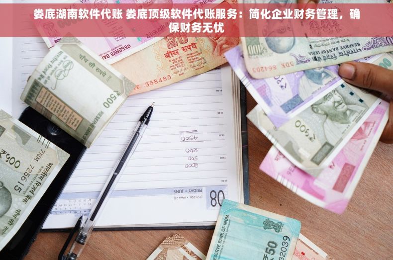 娄底湖南软件代账 娄底顶级软件代账服务：简化企业财务管理，确保财务无忧