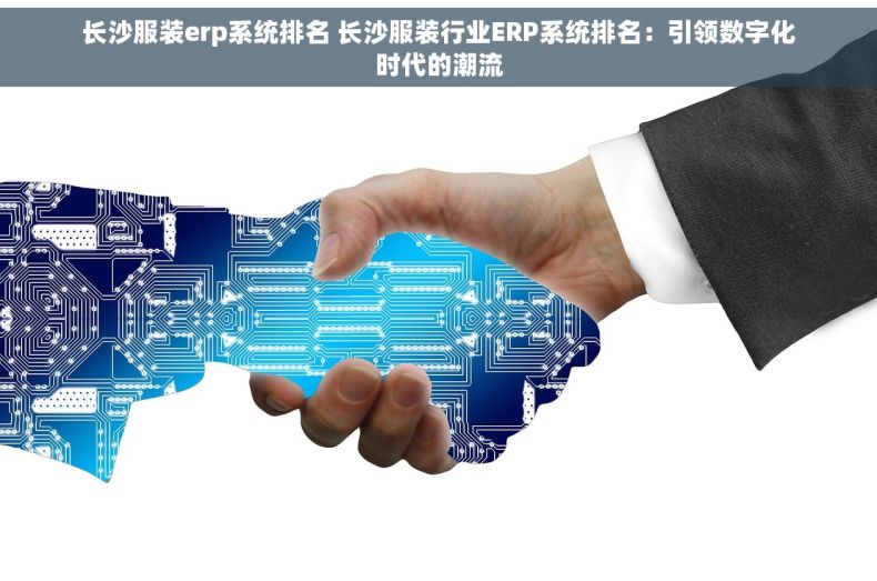 长沙服装erp系统排名 长沙服装行业ERP系统排名：引领数字化时代的潮流