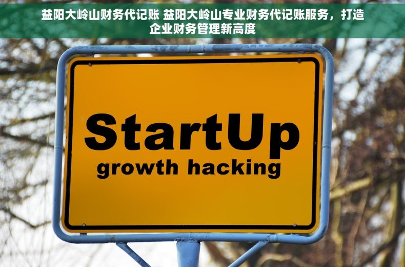 益阳大岭山财务代记账 益阳大岭山专业财务代记账服务，打造企业财务管理新高度