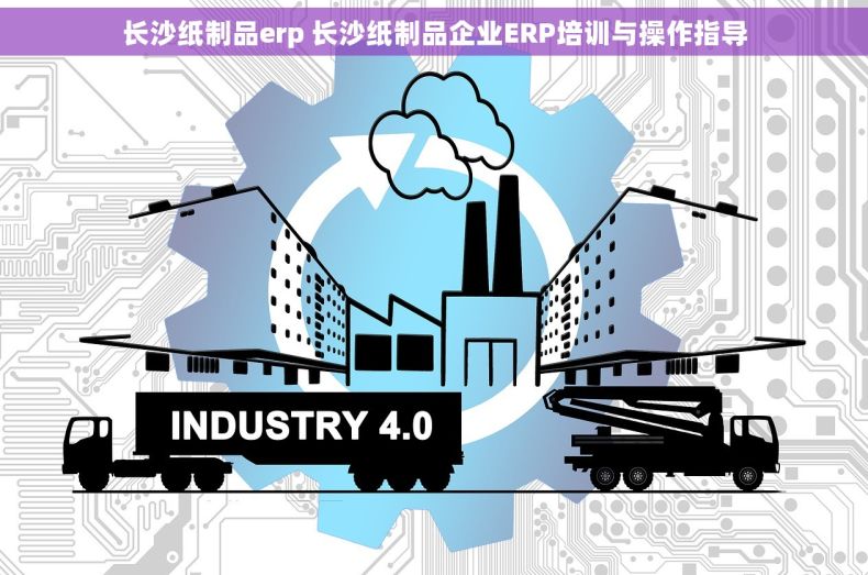 长沙纸制品erp 长沙纸制品企业ERP培训与操作指导