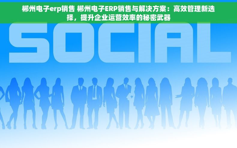 郴州电子erp销售 郴州电子ERP销售与解决方案：高效管理新选择，提升企业运营效率的秘密武器