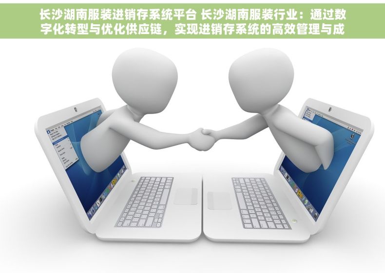 长沙湖南服装进销存系统平台 长沙湖南服装行业：通过数字化转型与优化供应链，实现进销存系统的高效管理与成本降低