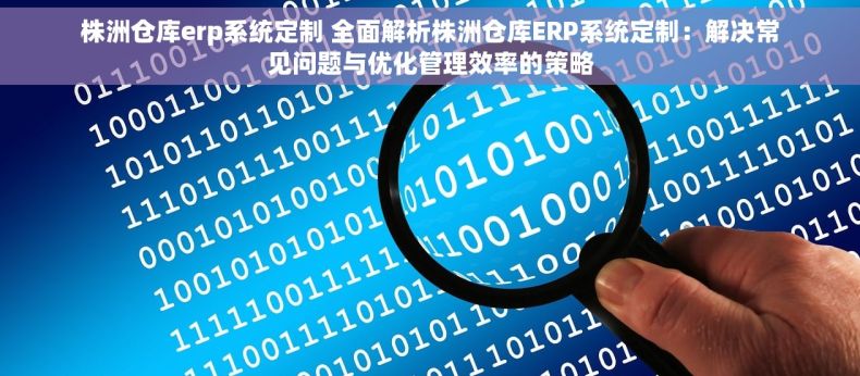 株洲仓库erp系统定制 全面解析株洲仓库ERP系统定制：解决常见问题与优化管理效率的策略