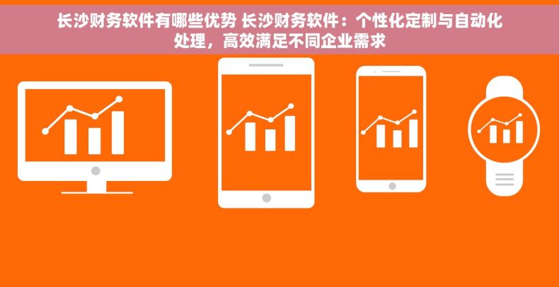 长沙财务软件有哪些优势 长沙财务软件：个性化定制与自动化处理，高效满足不同企业需求