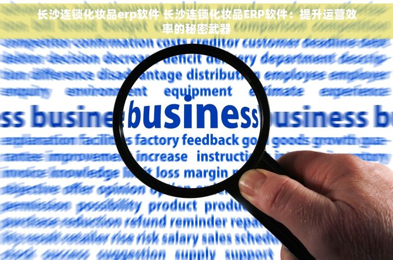 长沙连锁化妆品erp软件 长沙连锁化妆品ERP软件：提升运营效率的秘密武器