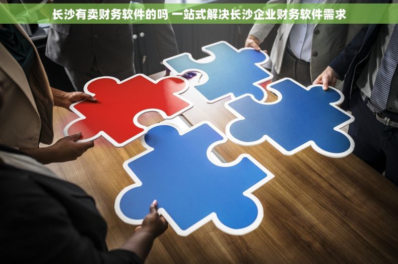 长沙有卖财务软件的吗 一站式解决长沙企业财务软件需求