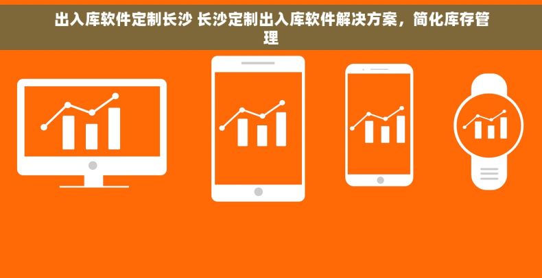 出入库软件定制长沙 长沙定制出入库软件解决方案，简化库存管理