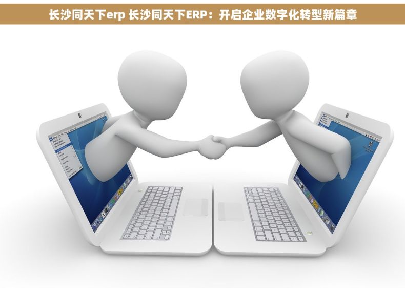 长沙同天下erp 长沙同天下ERP：开启企业数字化转型新篇章