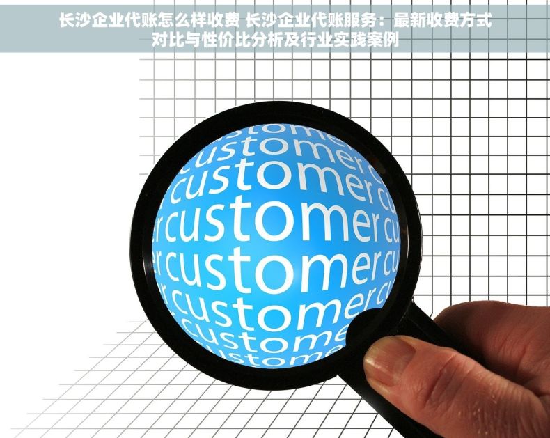长沙企业代账怎么样收费 长沙企业代账服务：最新收费方式对比与性价比分析及行业实践案例
