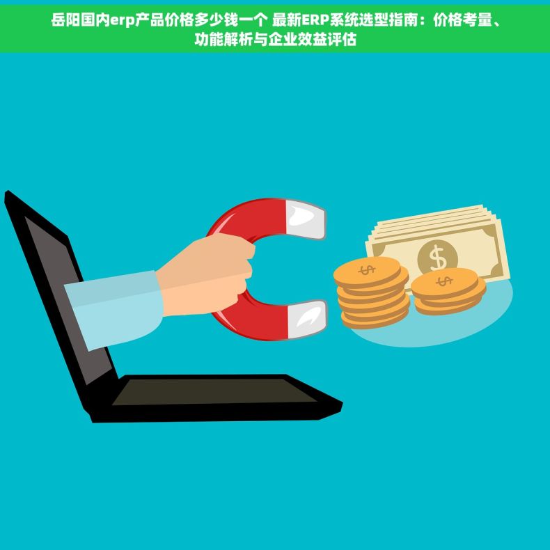 岳阳国内erp产品价格多少钱一个 最新ERP系统选型指南：价格考量、功能解析与企业效益评估