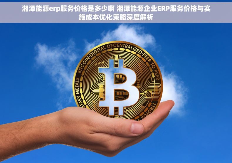 湘潭能源erp服务价格是多少啊 湘潭能源企业ERP服务价格与实施成本优化策略深度解析