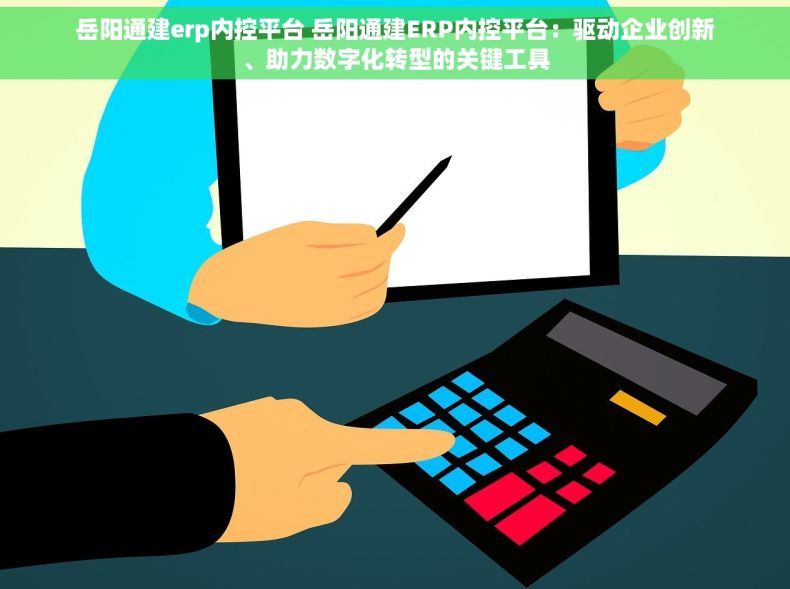 岳阳通建erp内控平台 岳阳通建ERP内控平台：驱动企业创新、助力数字化转型的关键工具
