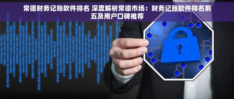 常德财务记账软件排名 深度解析常德市场：财务记账软件排名前五及用户口碑推荐
