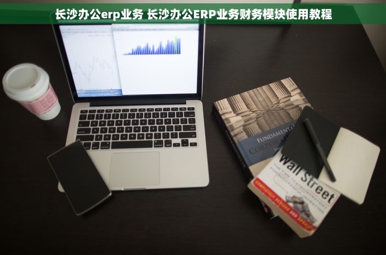 长沙办公erp业务 长沙办公ERP业务财务模块使用教程