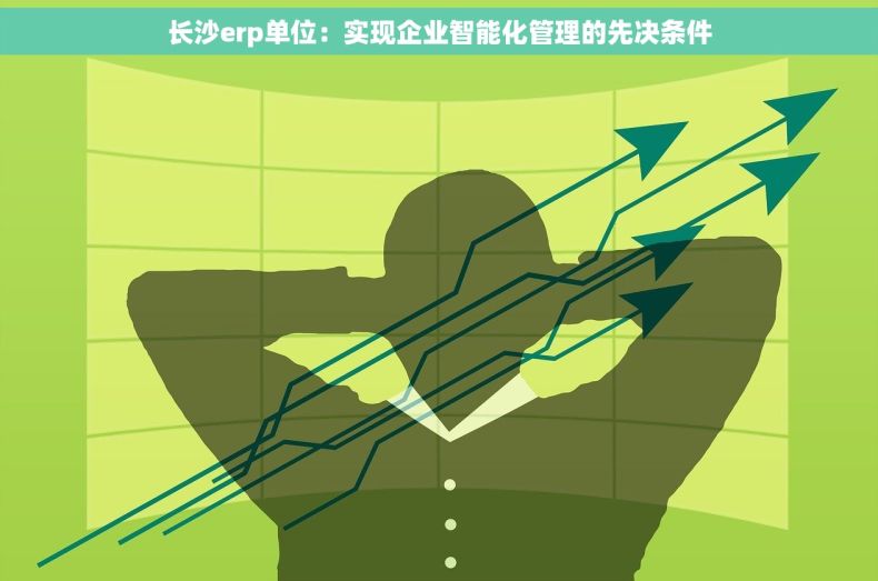 长沙erp单位：实现企业智能化管理的先决条件