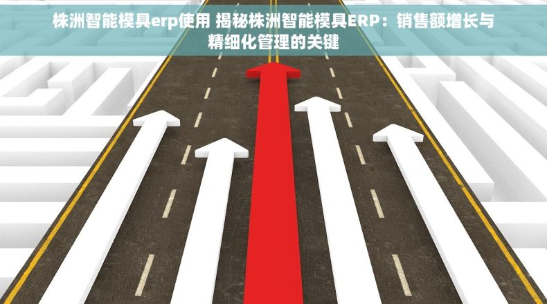 株洲智能模具erp使用 揭秘株洲智能模具ERP：销售额增长与精细化管理的关键