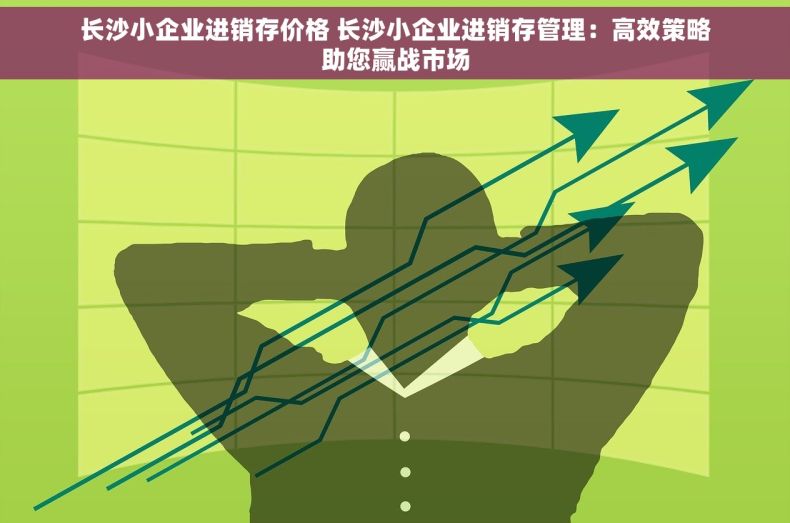 长沙小企业进销存价格 长沙小企业进销存管理：高效策略助您赢战市场