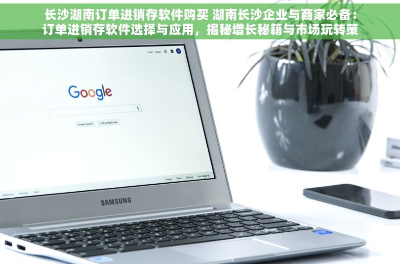 长沙湖南订单进销存软件购买 湖南长沙企业与商家必备：订单进销存软件选择与应用，揭秘增长秘籍与市场玩转策略