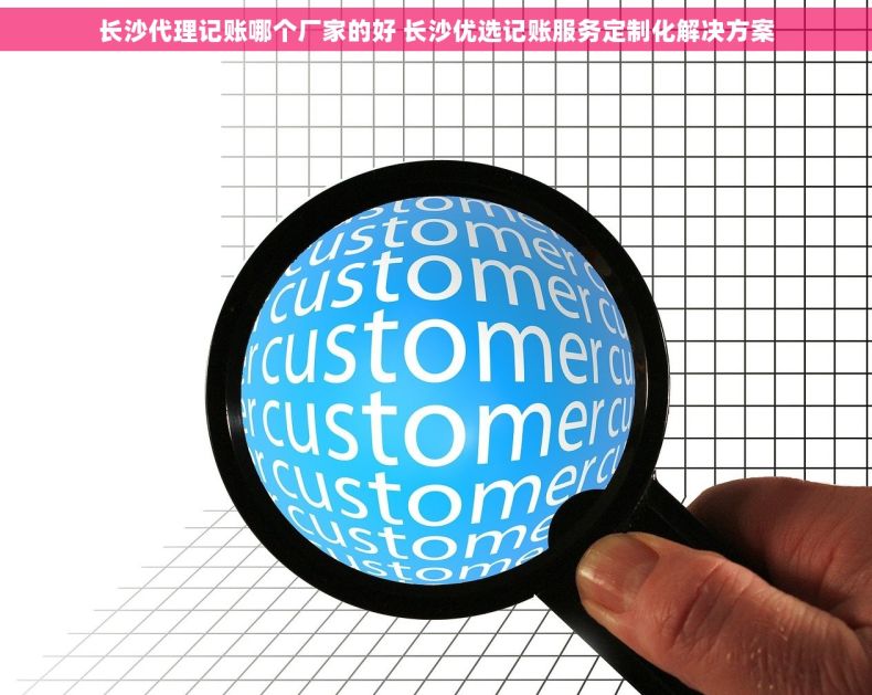 长沙代理记账哪个厂家的好 长沙优选记账服务定制化解决方案