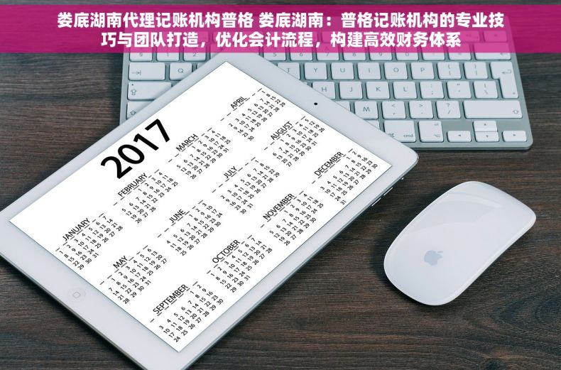娄底湖南代理记账机构普格 娄底湖南：普格记账机构的专业技巧与团队打造，优化会计流程，构建高效财务体系