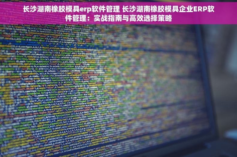 长沙湖南橡胶模具erp软件管理 长沙湖南橡胶模具企业ERP软件管理：实战指南与高效选择策略