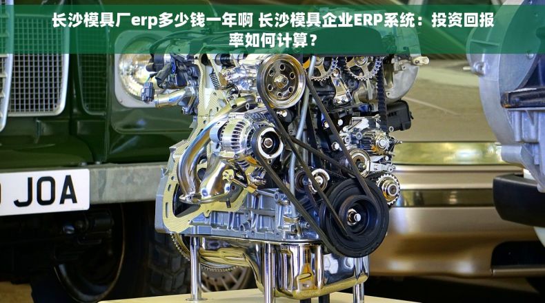 长沙模具厂erp多少钱一年啊 长沙模具企业ERP系统：投资回报率如何计算？