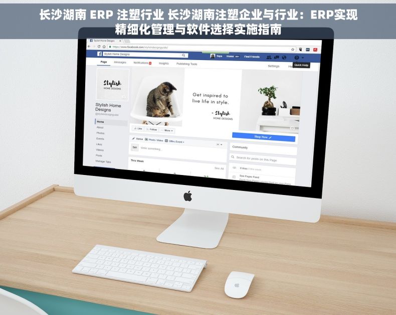 长沙湖南 ERP 注塑行业 长沙湖南注塑企业与行业：ERP实现精细化管理与软件选择实施指南