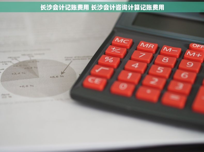 长沙会计记账费用 长沙会计咨询计算记账费用