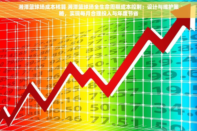 湘潭篮球场成本核算 湘潭篮球场全生命周期成本控制：设计与维护策略，实现每月合理投入与年度节省
