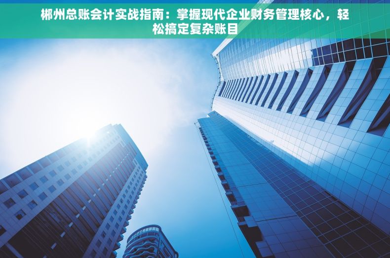 郴州总账会计实战指南：掌握现代企业财务管理核心，轻松搞定复杂账目