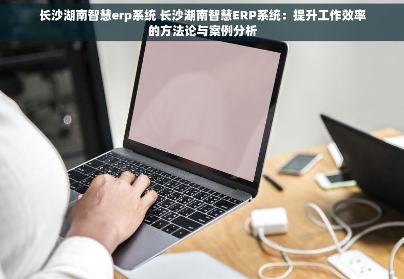 长沙湖南智慧erp系统 长沙湖南智慧ERP系统：提升工作效率的方法论与案例分析