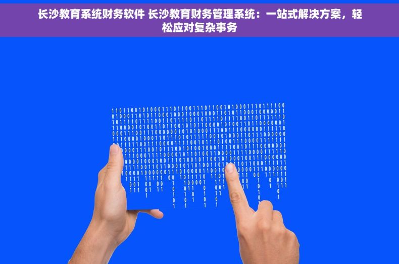 长沙教育系统财务软件 长沙教育财务管理系统：一站式解决方案，轻松应对复杂事务