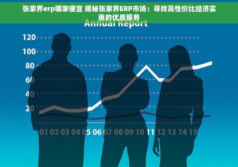 张家界erp哪家便宜 揭秘张家界ERP市场：寻找高性价比经济实惠的优质服务