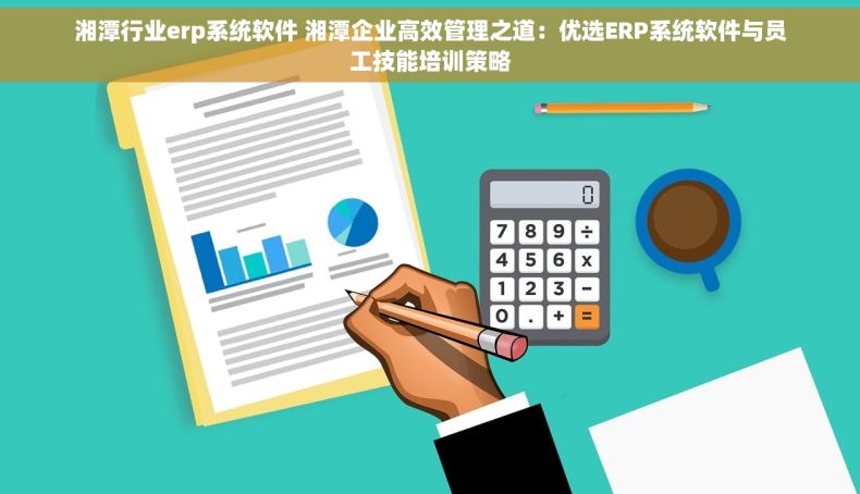湘潭行业erp系统软件 湘潭企业高效管理之道：优选ERP系统软件与员工技能培训策略