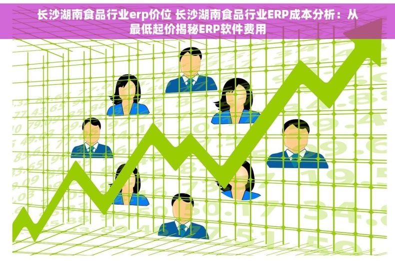 长沙湖南食品行业erp价位 长沙湖南食品行业ERP成本分析：从最低起价揭秘ERP软件费用