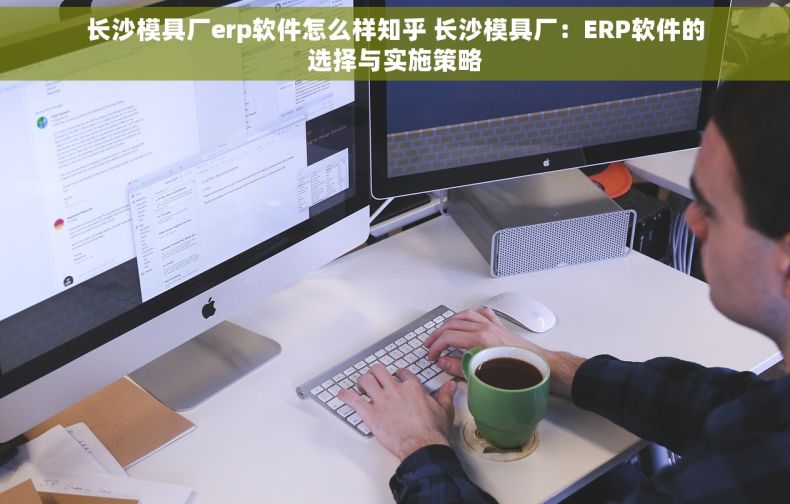长沙模具厂erp软件怎么样知乎 长沙模具厂：ERP软件的选择与实施策略