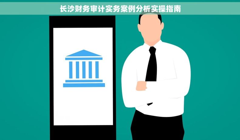 长沙财务审计实务案例分析实操指南