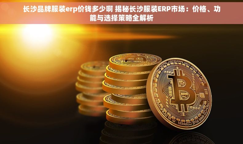 长沙品牌服装erp价钱多少啊 揭秘长沙服装ERP市场：价格、功能与选择策略全解析