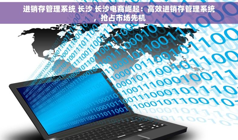 进销存管理系统 长沙 长沙电商崛起：高效进销存管理系统，抢占市场先机