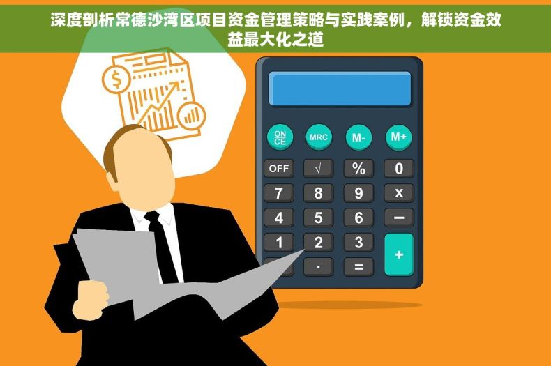 深度剖析常德沙湾区项目资金管理策略与实践案例，解锁资金效益最大化之道