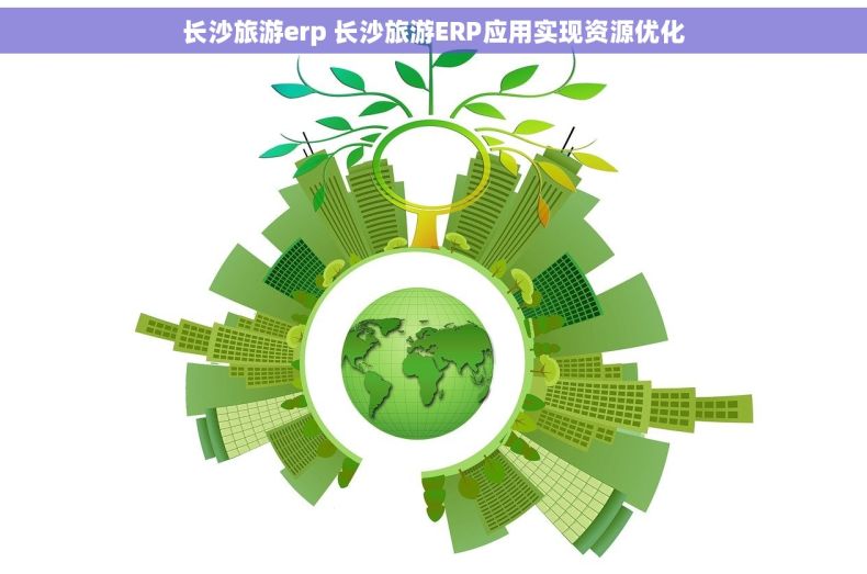 长沙旅游erp 长沙旅游ERP应用实现资源优化