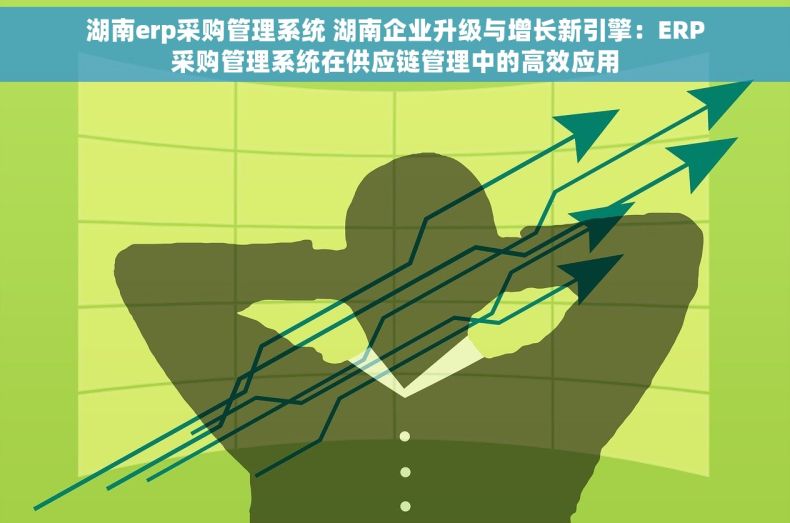 湖南erp采购管理系统 湖南企业升级与增长新引擎：ERP采购管理系统在供应链管理中的高效应用