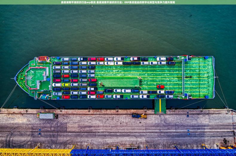 娄底湖南平湖纺织行业erp系统 娄底湖南平湖纺织行业：ERP系统驱动的数字化转型与竞争力提升策略