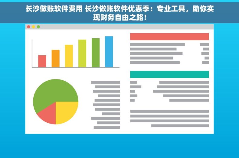长沙做账软件费用 长沙做账软件优惠季：专业工具，助你实现财务自由之路！