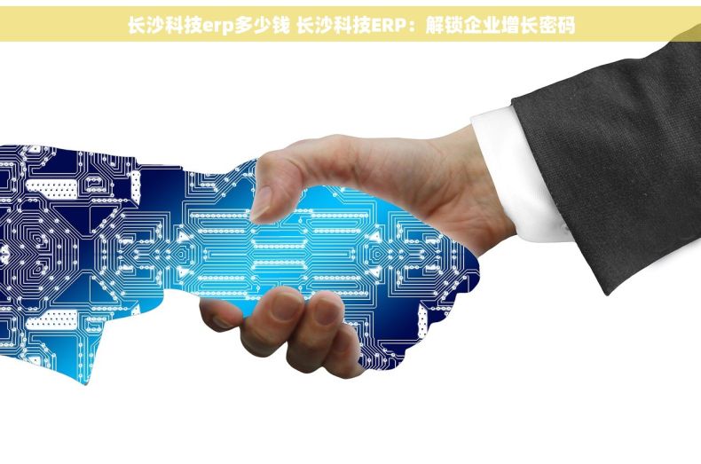 长沙科技erp多少钱 长沙科技ERP：解锁企业增长密码
