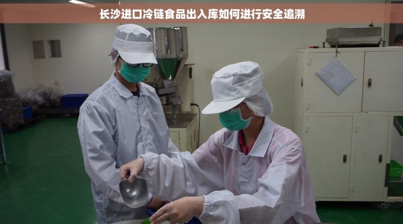 长沙进口冷链食品出入库如何进行安全追溯