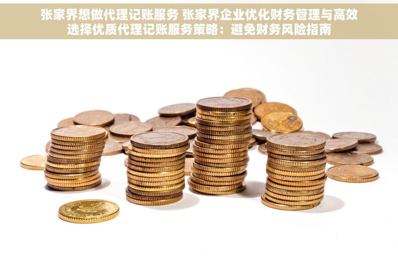 张家界想做代理记账服务 张家界企业优化财务管理与高效选择优质代理记账服务策略：避免财务风险指南