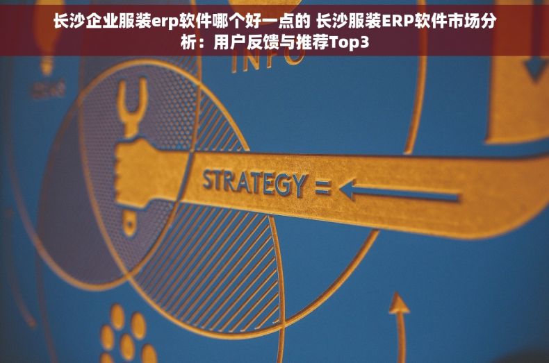 长沙企业服装erp软件哪个好一点的 长沙服装ERP软件市场分析：用户反馈与推荐Top3