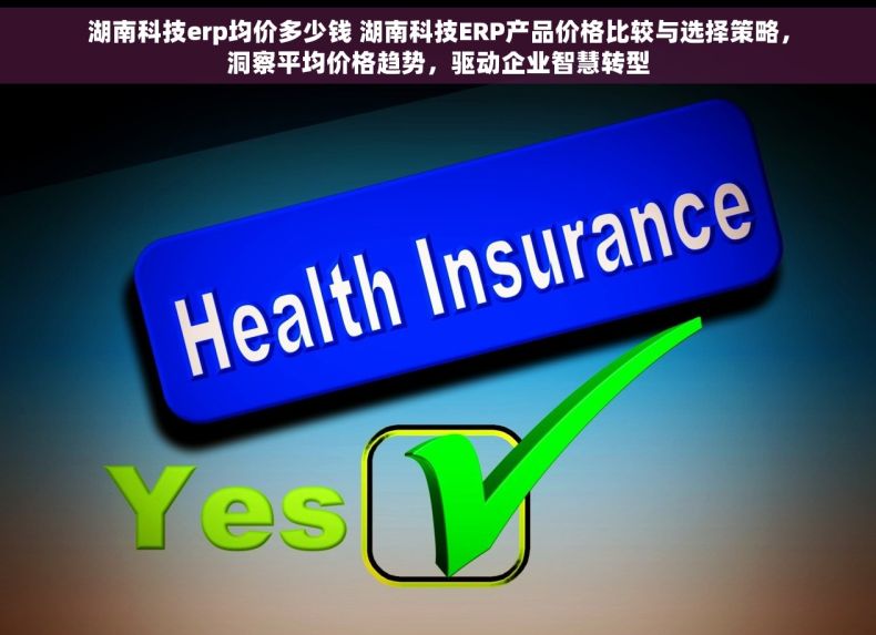 湖南科技erp均价多少钱 湖南科技ERP产品价格比较与选择策略，洞察平均价格趋势，驱动企业智慧转型
